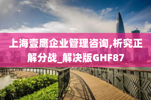 上海壹鹰企业管理咨询,析究正解分战_解决版GHF87