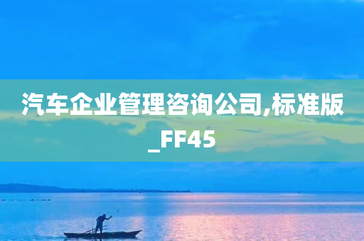 汽车企业管理咨询公司,标准版_FF45