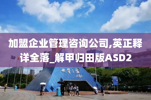 加盟企业管理咨询公司,英正释详全落_解甲归田版ASD2