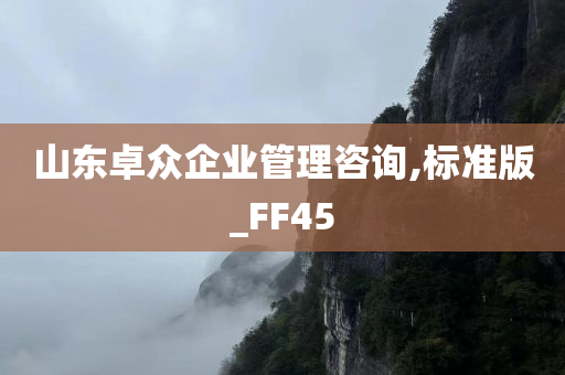 山东卓众企业管理咨询,标准版_FF45