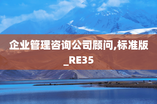 企业管理咨询公司顾问,标准版_RE35