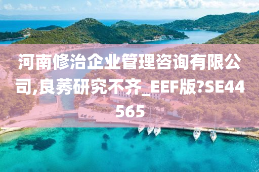 河南修治企业管理咨询有限公司,良莠研究不齐_EEF版?SE44565