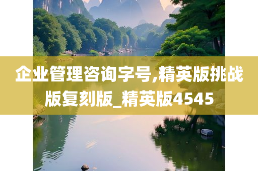 企业管理咨询字号,精英版挑战版复刻版_精英版4545