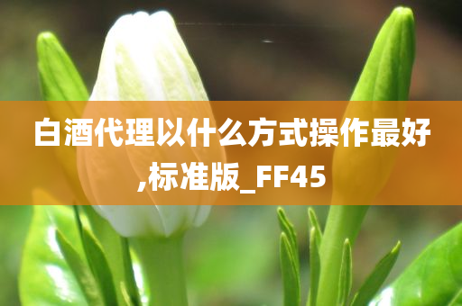 白酒代理以什么方式操作最好,标准版_FF45