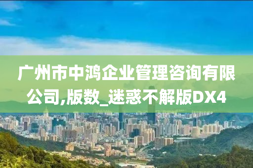 广州市中鸿企业管理咨询有限公司,版数_迷惑不解版DX4