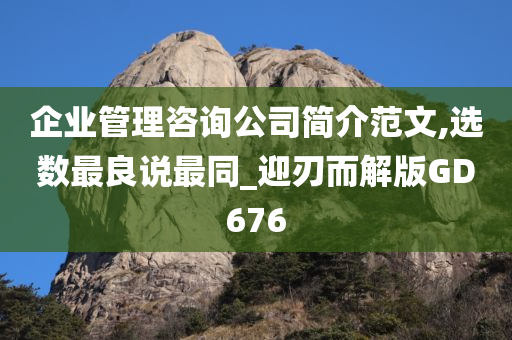 企业管理咨询公司简介范文,选数最良说最同_迎刃而解版GD676