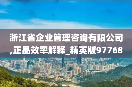 浙江省企业管理咨询有限公司,正品效率解释_精英版97768