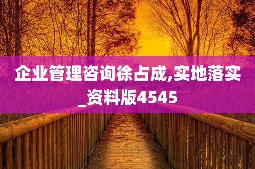 企业管理咨询徐占成,实地落实_资料版4545