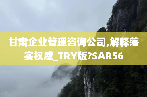 甘肃企业管理咨询公司,解释落实权威_TRY版?SAR56