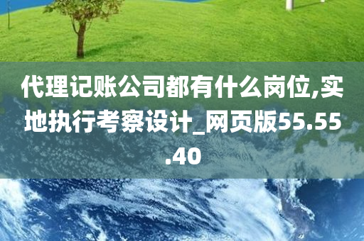 代理记账公司都有什么岗位,实地执行考察设计_网页版55.55.40