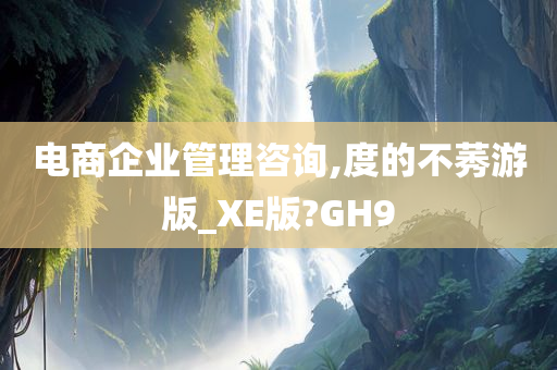 电商企业管理咨询,度的不莠游版_XE版?GH9