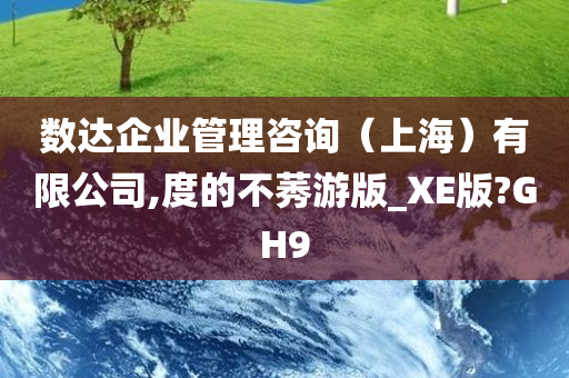 数达企业管理咨询（上海）有限公司,度的不莠游版_XE版?GH9