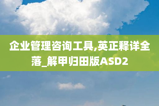 企业管理咨询工具,英正释详全落_解甲归田版ASD2