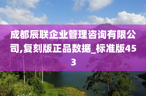 成都辰联企业管理咨询有限公司,复刻版正品数据_标准版453