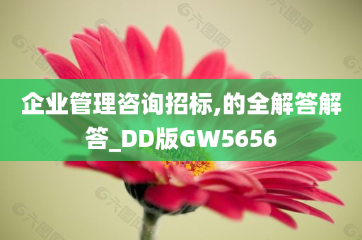 企业管理咨询招标,的全解答解答_DD版GW5656