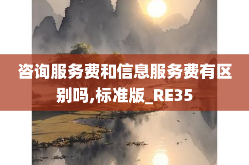 咨询服务费和信息服务费有区别吗,标准版_RE35