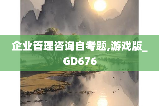 企业管理咨询自考题,游戏版_GD676