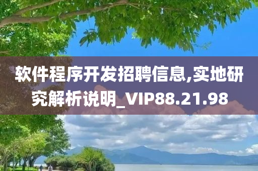 软件程序开发招聘信息,实地研究解析说明_VIP88.21.98