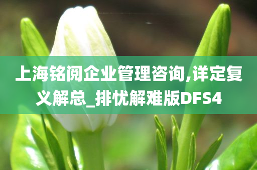 上海铭阅企业管理咨询,详定复义解总_排忧解难版DFS4