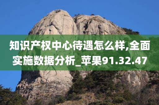 知识产权中心待遇怎么样,全面实施数据分析_苹果91.32.47