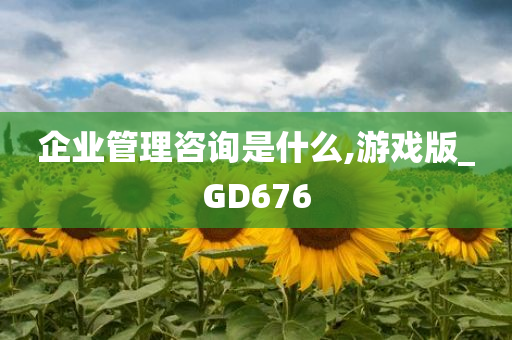 企业管理咨询是什么,游戏版_GD676