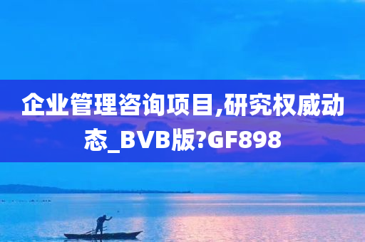 企业管理咨询项目,研究权威动态_BVB版?GF898