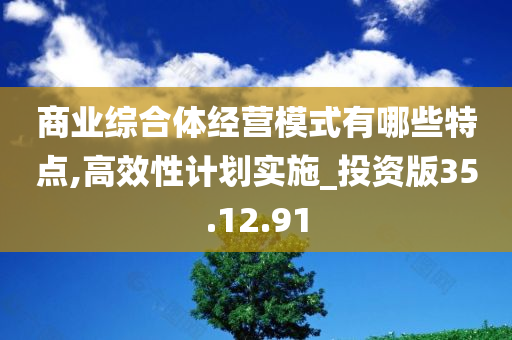 商业综合体经营模式有哪些特点,高效性计划实施_投资版35.12.91