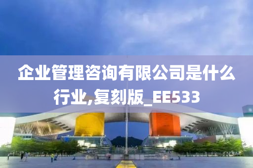 企业管理咨询有限公司是什么行业,复刻版_EE533