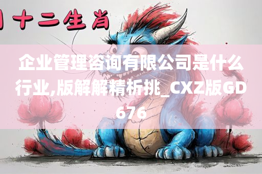 企业管理咨询有限公司是什么行业,版解解精析挑_CXZ版GD676