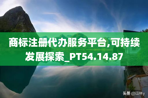 商标注册代办服务平台,可持续发展探索_PT54.14.87