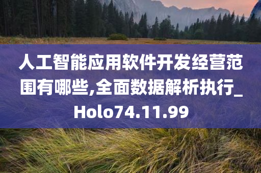 人工智能应用软件开发经营范围有哪些,全面数据解析执行_Holo74.11.99