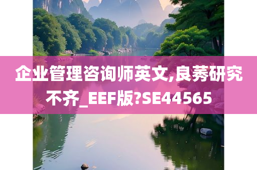 企业管理咨询师英文,良莠研究不齐_EEF版?SE44565