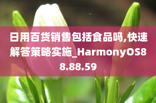 日用百货销售包括食品吗,快速解答策略实施_HarmonyOS88.88.59