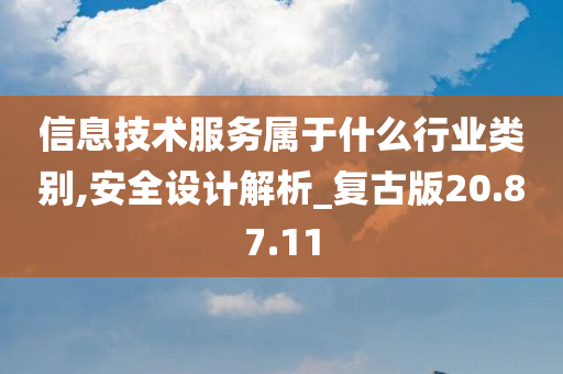 信息技术服务属于什么行业类别,安全设计解析_复古版20.87.11