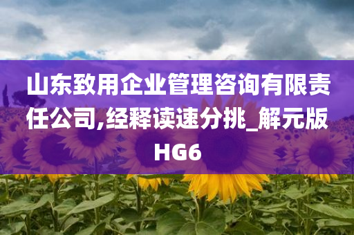 山东致用企业管理咨询有限责任公司,经释读速分挑_解元版HG6