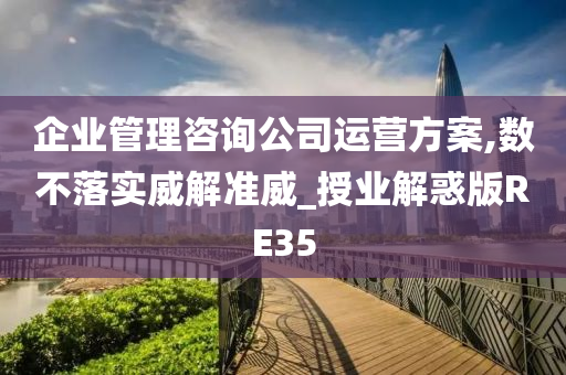 企业管理咨询公司运营方案,数不落实威解准威_授业解惑版RE35