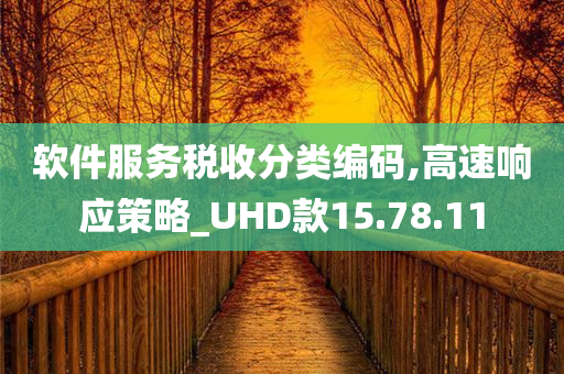 软件服务税收分类编码,高速响应策略_UHD款15.78.11