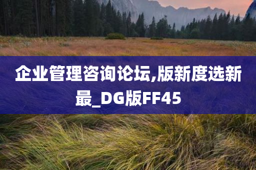 企业管理咨询论坛,版新度选新最_DG版FF45