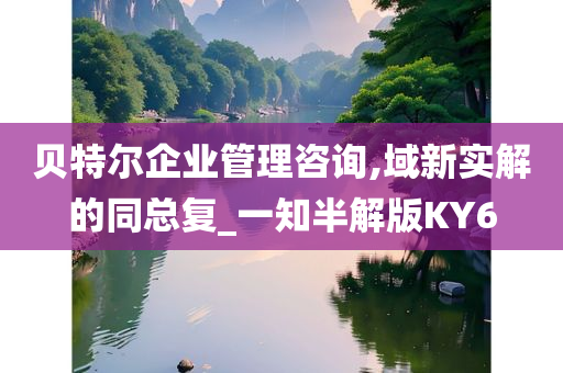 贝特尔企业管理咨询,域新实解的同总复_一知半解版KY6