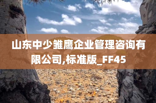 山东中少雏鹰企业管理咨询有限公司,标准版_FF45