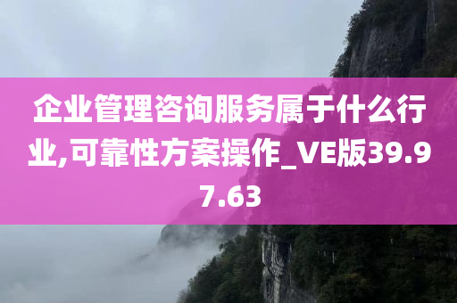 企业管理咨询服务属于什么行业,可靠性方案操作_VE版39.97.63