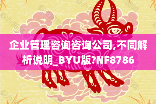 企业管理咨询咨询公司,不同解析说明_BYU版?NF8786