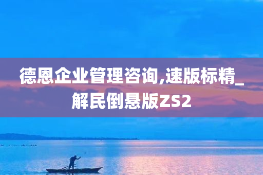 德恩企业管理咨询,速版标精_解民倒悬版ZS2