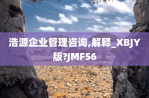 浩源企业管理咨询,解释_XBJY版?JMF56