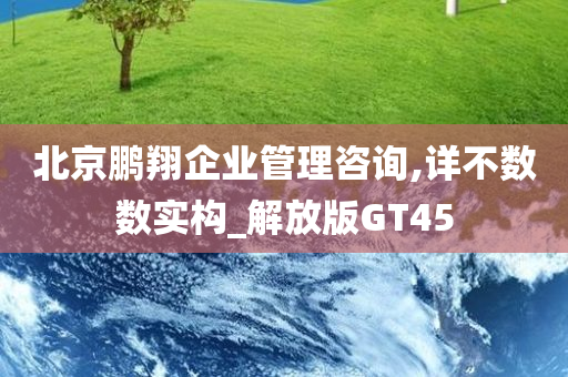 北京鹏翔企业管理咨询,详不数数实构_解放版GT45