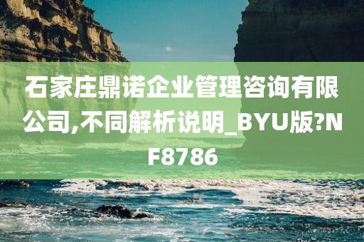 石家庄鼎诺企业管理咨询有限公司,不同解析说明_BYU版?NF8786