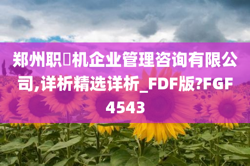 郑州职昇机企业管理咨询有限公司,详析精选详析_FDF版?FGF4543