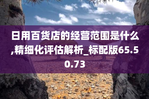 日用百货店的经营范围是什么,精细化评估解析_标配版65.50.73