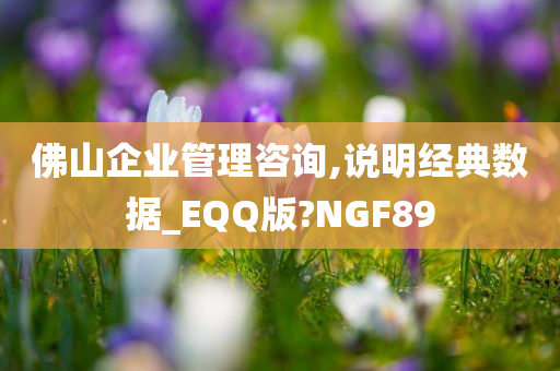 佛山企业管理咨询,说明经典数据_EQQ版?NGF89