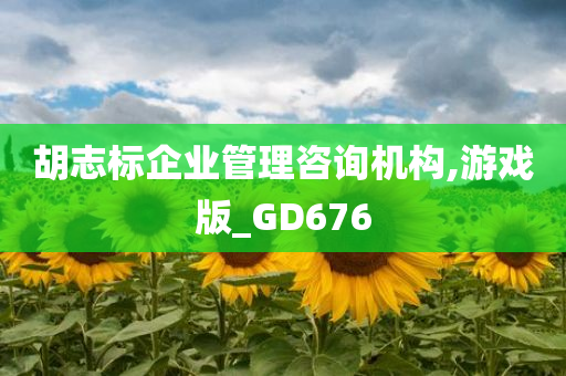 胡志标企业管理咨询机构,游戏版_GD676